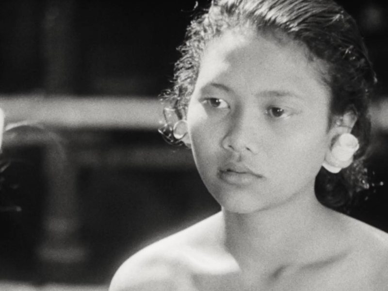 Image 4-11-25 at 7.49 PM